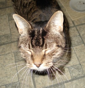 grendel-cropped-web grendel