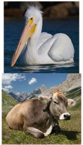 It'll make sense as you read.