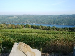 From Bully Hill down toward lake