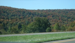 ???????????????????????????????