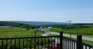 the deck at Shady Mountain
